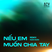 Nếu Em Muốn Chia Tay (Remix) (Single)