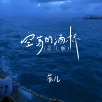 空荡的酒杯 (菲儿版) (Single)