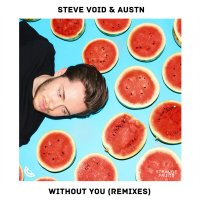 Without You (Remixes) (Single)