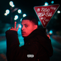 Sigo Pela Sul (Single)