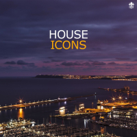 House Icons (Single)