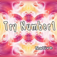 Try Number 1 (Single)