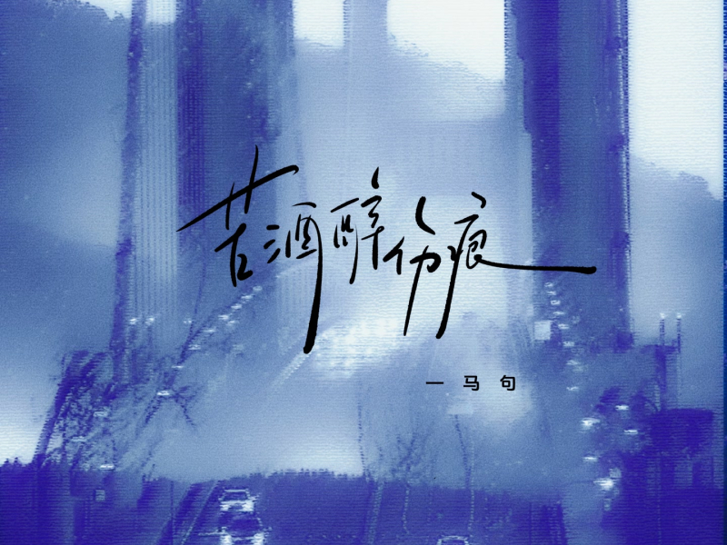 苦酒醉伤痕 (DJ鬼鬼于航版) (Single)