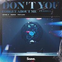 Don't You (Forget About Me) (Single)