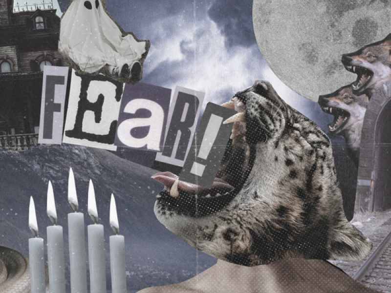 Fear (Single)