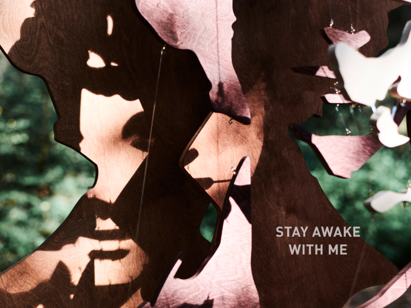 Stay Awake with Me (Single)