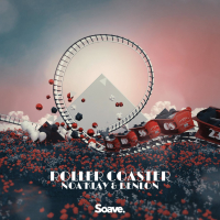 Roller Coaster (Single)