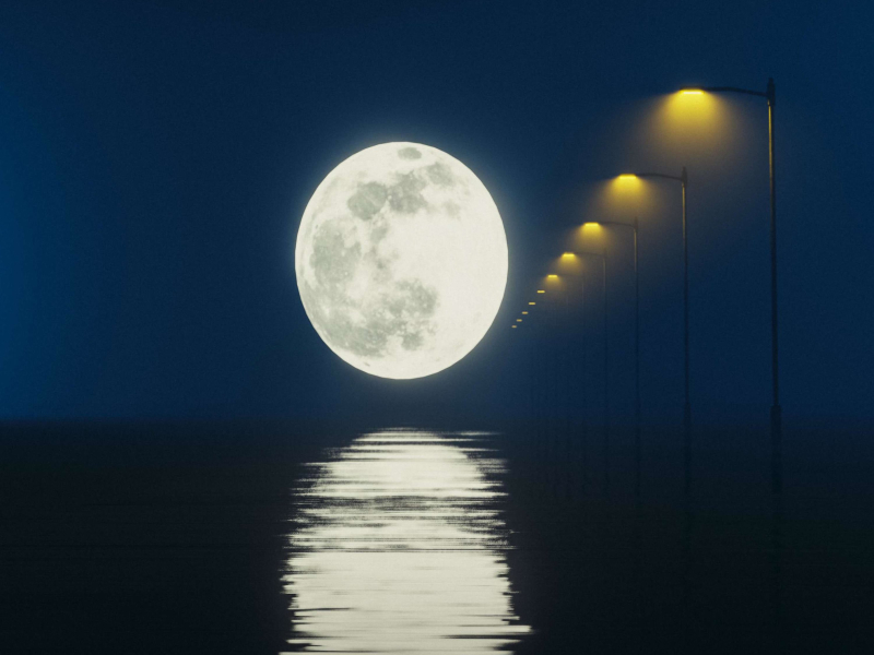 Lonely Together (Single)