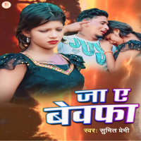 Ja Ye Bewafa (Single)