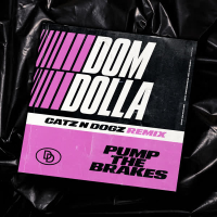 Pump the Brakes (Catz 'n Dogz Remix) (Single)