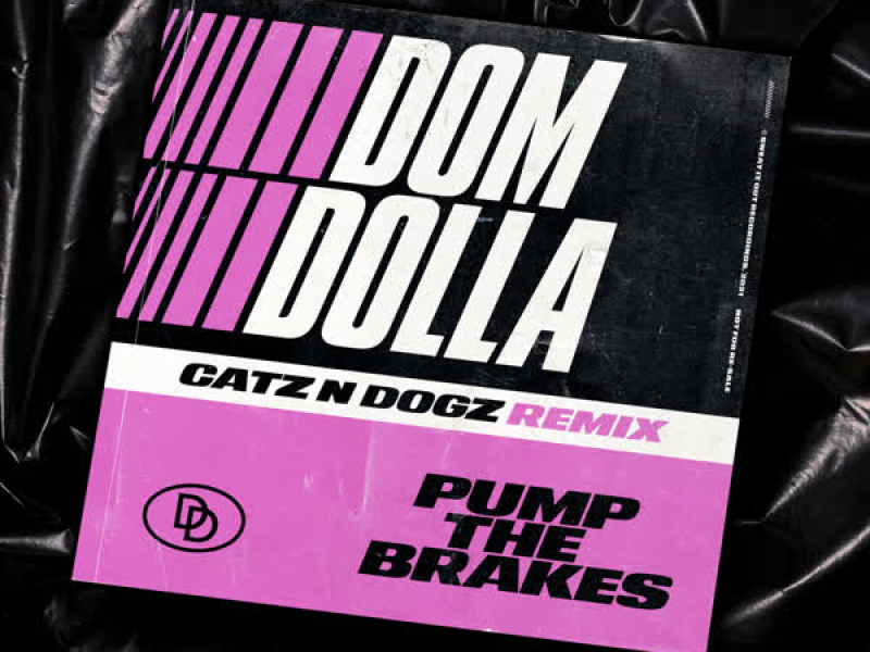 Pump the Brakes (Catz 'n Dogz Remix) (Single)