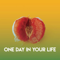 One Day in Your Life (Single)