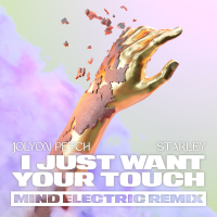 I Just Want Your Touch (Mind Electric Remix) (Single)