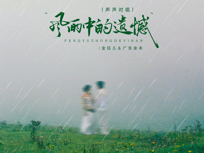 风雨中的遗憾 (声声对唱) (Single)