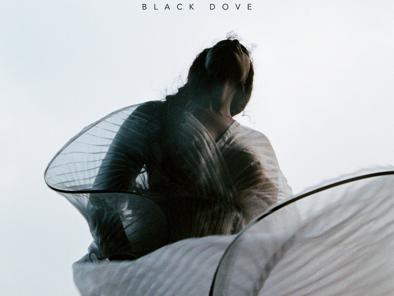 Black Dove