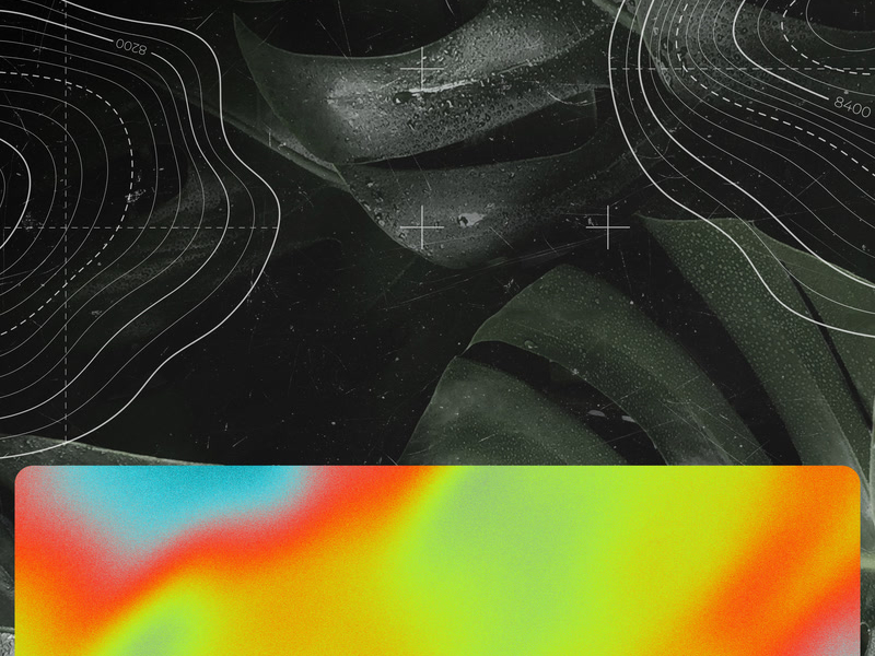 Kick It With You (Single)