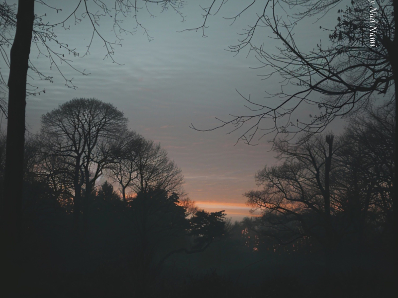 Gwiazdy Nad Nami (Single)