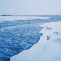 For no reason (Single)