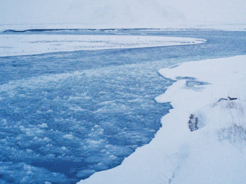 For no reason (Single)