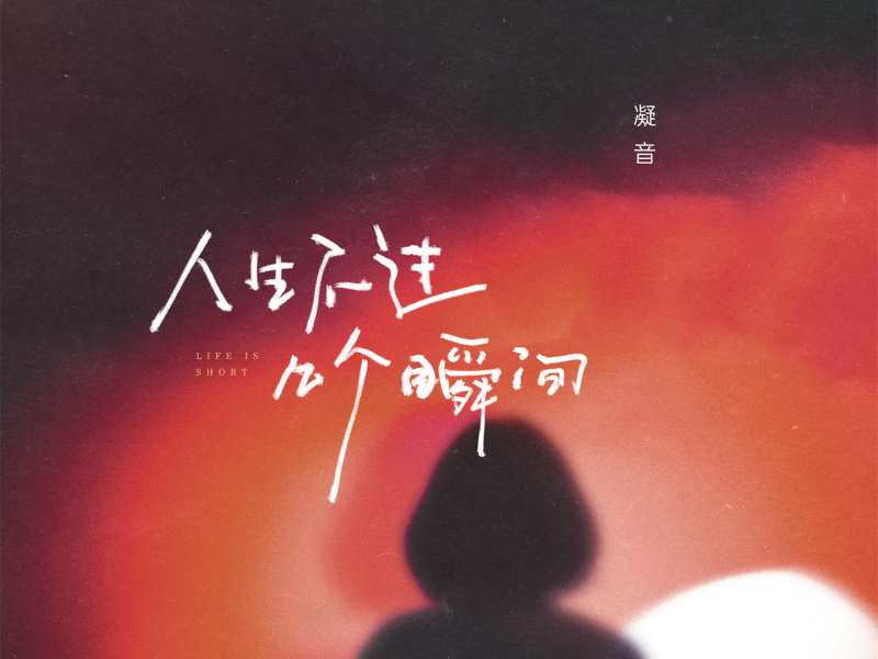人生不过几个瞬间 (Single)
