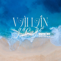 Vài Lần Gặp Gỡ (Single)