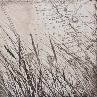 What a Life (Single)