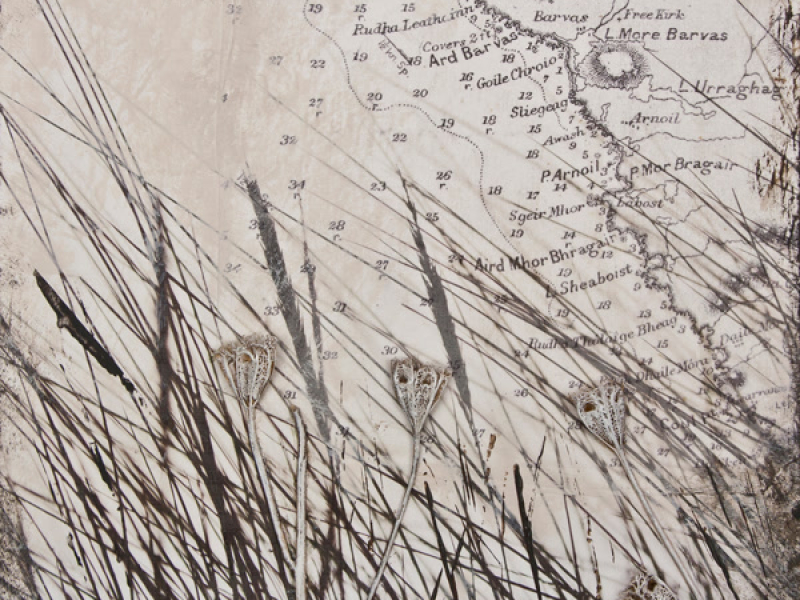 What a Life (Single)