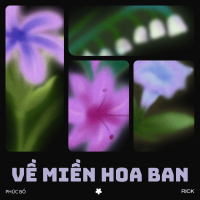 Về Miền Hoa Ban (Single)