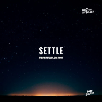 Settle (Single)