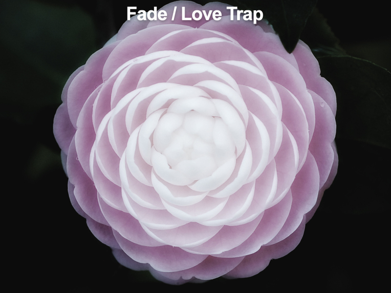 Fade / Love Trap (Single)