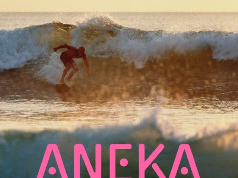 ANEKA (Single)