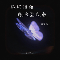 你的泪滴像倾盆大雨 (说唱版) (Single)