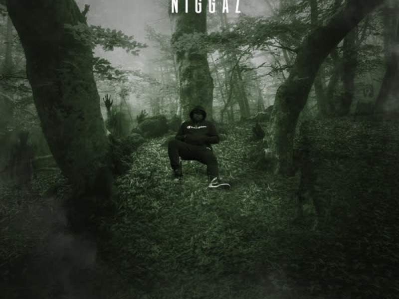 Industry Niggaz (Single)