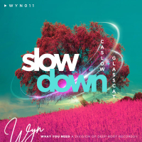 Slow Down (Single)