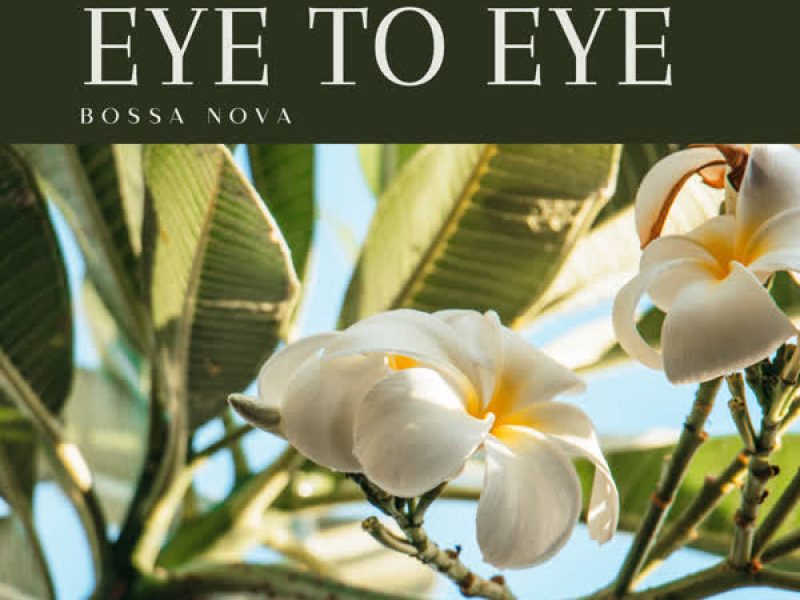 Eye To Eye (Bossa Nova Collection) (EP)