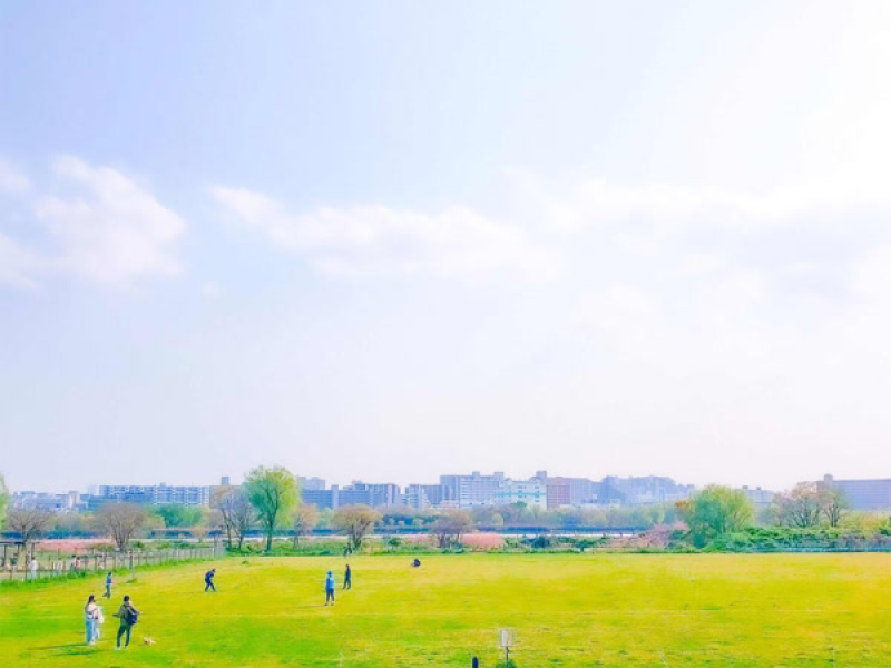 Brilliant Days (Single)