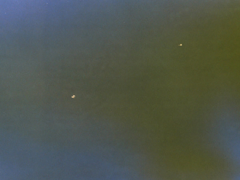 Now Cooked (We Cook Tonite) [Bofirax Remix] (Single)