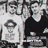 The Rhythm (Sparkleboy Remix) (Single)