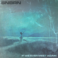 If We Ever Meet Again (Single)