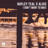 I Don't Want to Wait (Single)