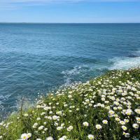 our memories (Single)