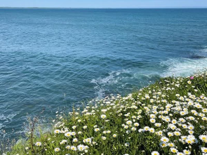 our memories (Single)