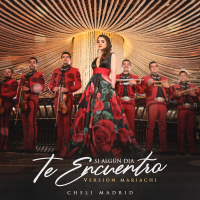 Si Algún Día Te Encuentro (Versíon Mariachi) (Single)