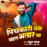 Pichakari Leke Bahar Bhatar Ba (Single)