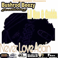 Never Love Again (Single)
