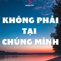 Không Phải Tại Chúng Mình