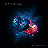 Did You Forget (Single)