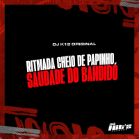 Ritmada Cheio de Papinho Saudade do Bandido (Single)