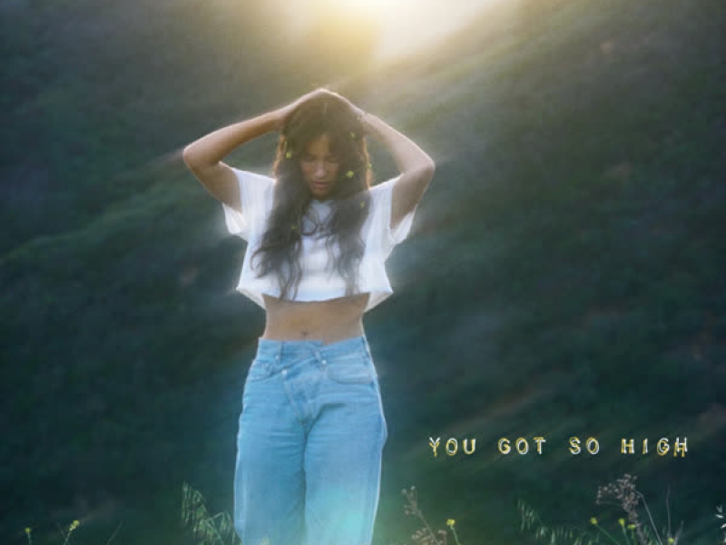 You Got so High (EP)