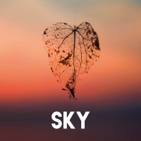 Sky (Single)